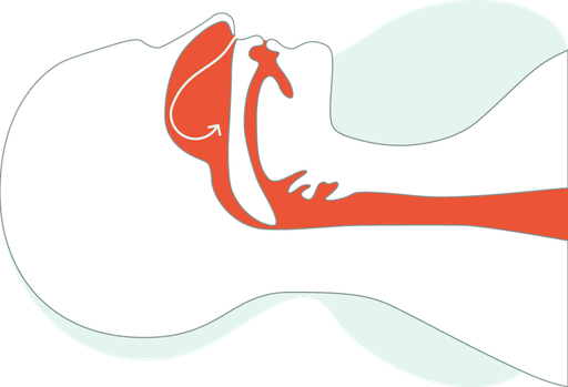 Diagram of Airway